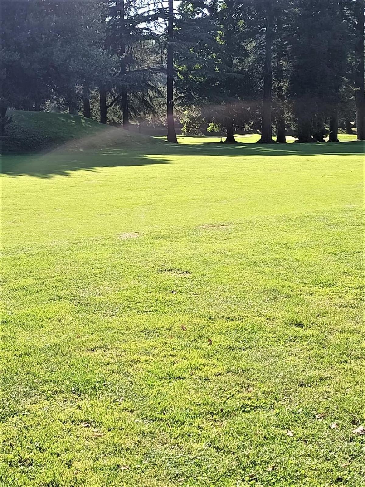 Fronte Del Golf Apartman Rapallo Kültér fotó