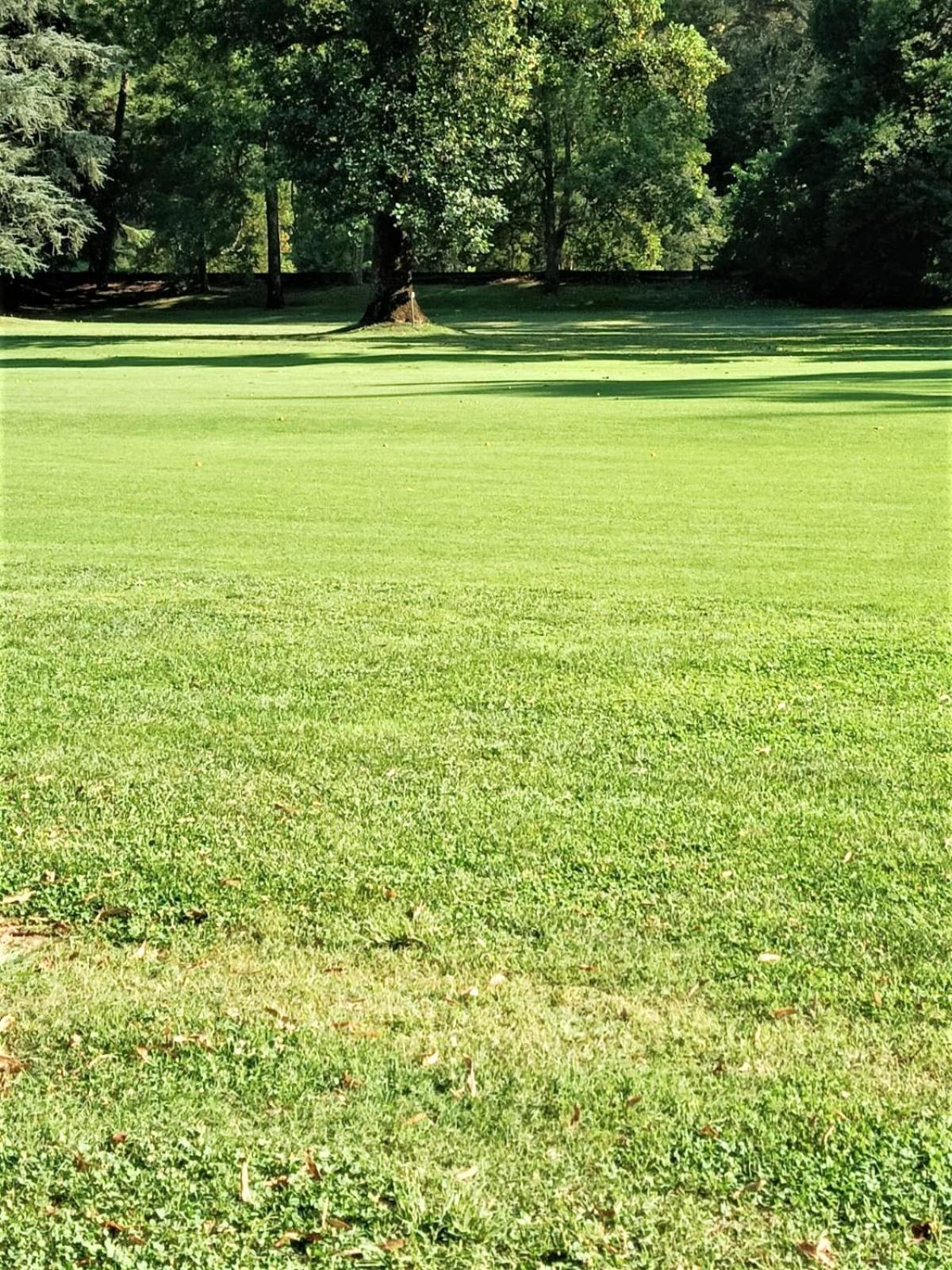Fronte Del Golf Apartman Rapallo Kültér fotó