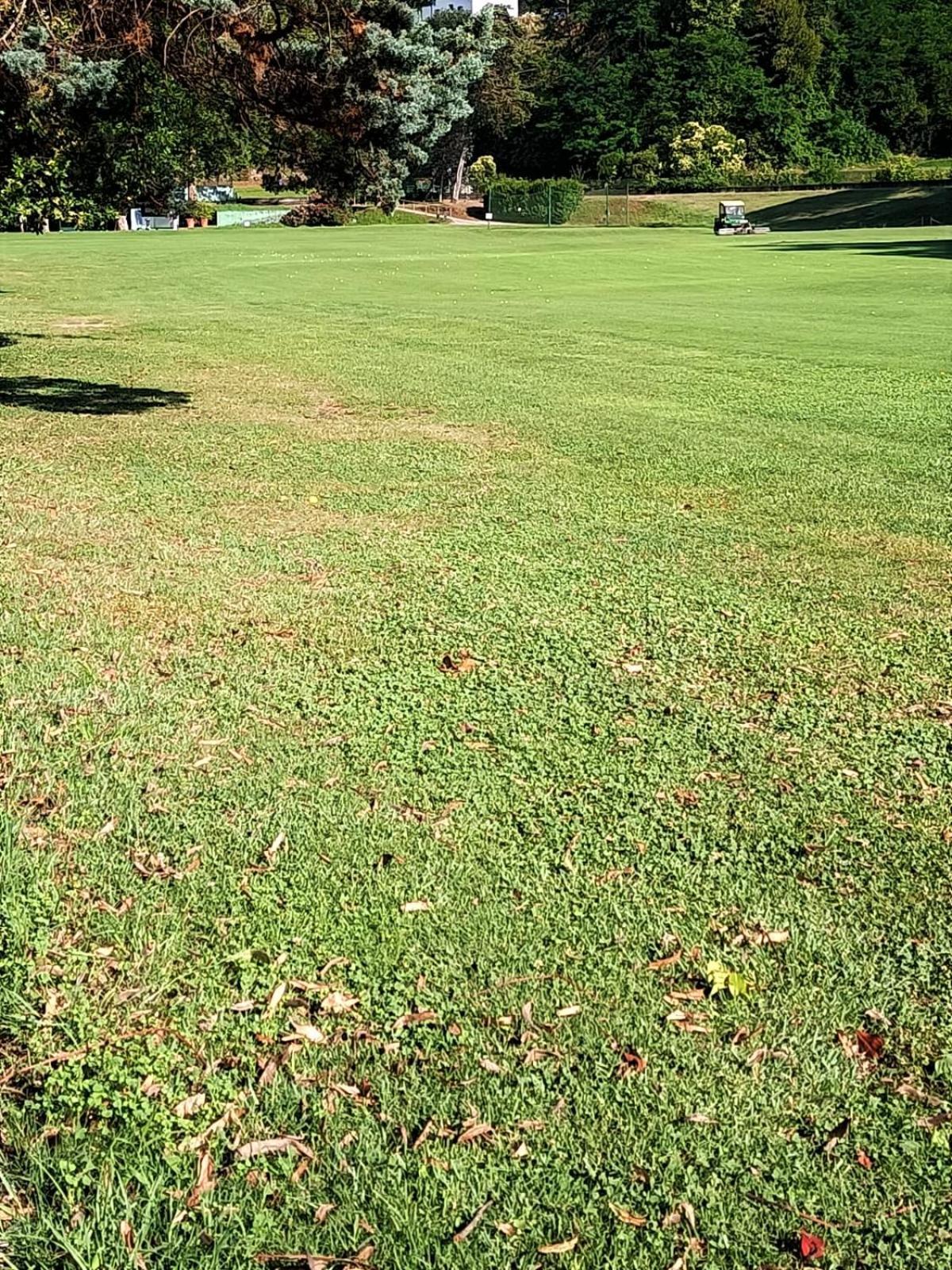 Fronte Del Golf Apartman Rapallo Kültér fotó